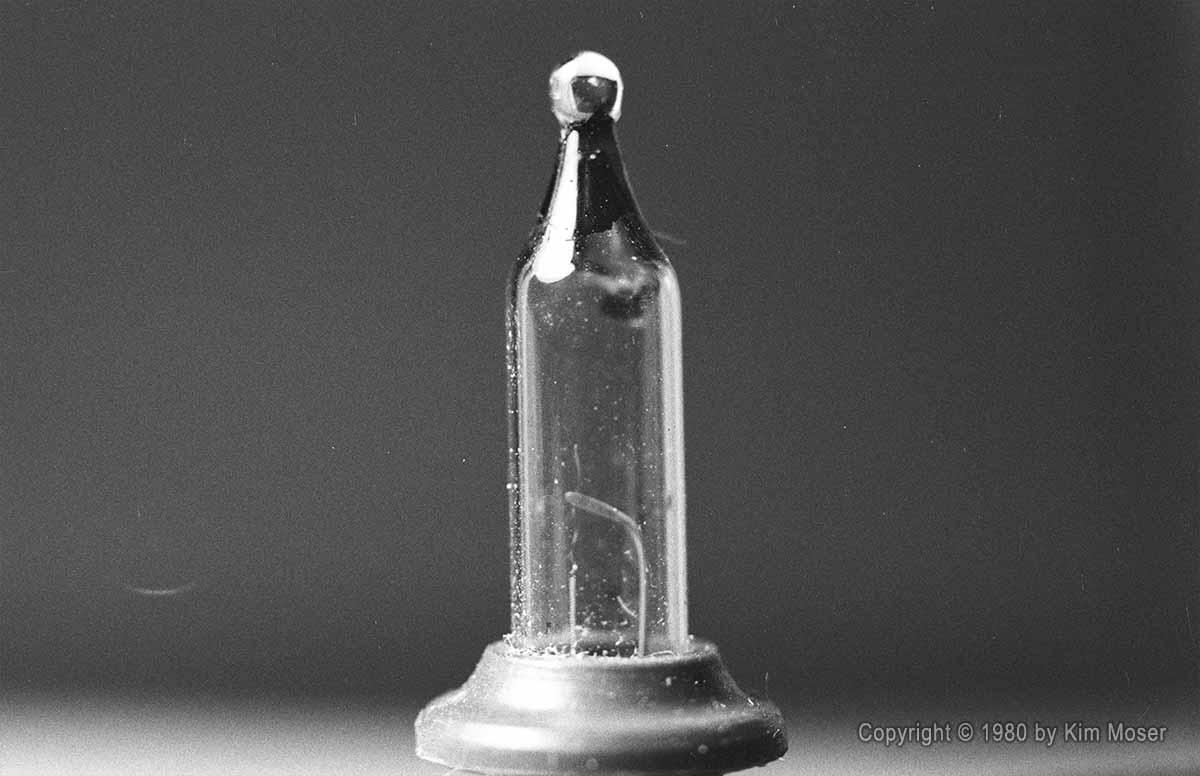 Bulb - Copyright © 1980 by Kim Moser