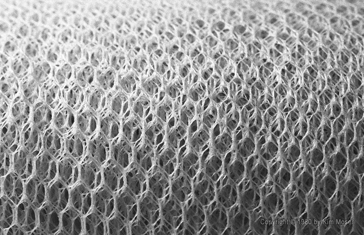 Mesh - Copyright © 1980 by Kim Moser