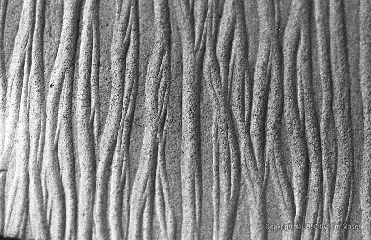 Flip-Flop Sole - Copyright © 1980 by Kim Moser
