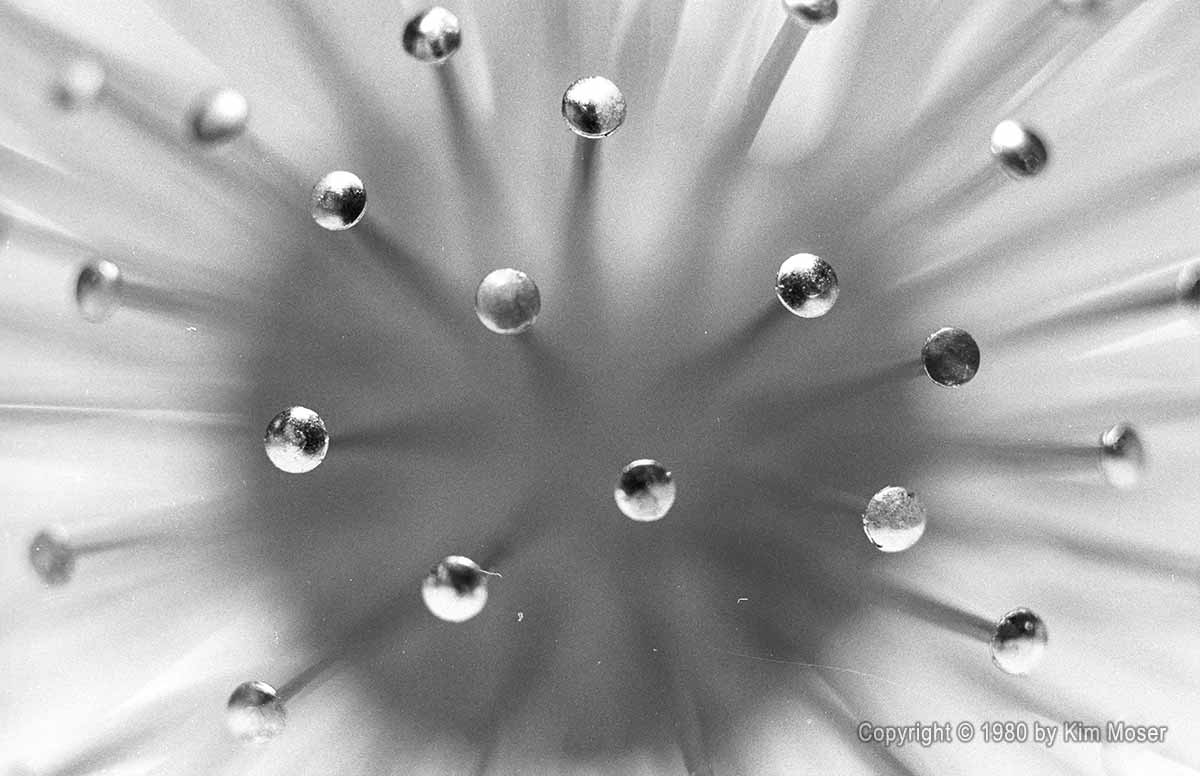 Pin Ball 2 - Copyright © 1981 by Kim Moser