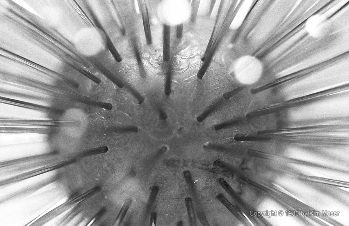 Pin Ball 3 - Copyright © 1981 by Kim Moser