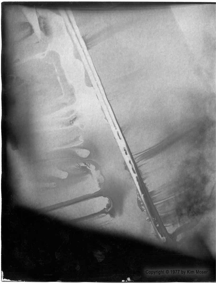 Untitled - Copyright © 1977 by Kim Moser