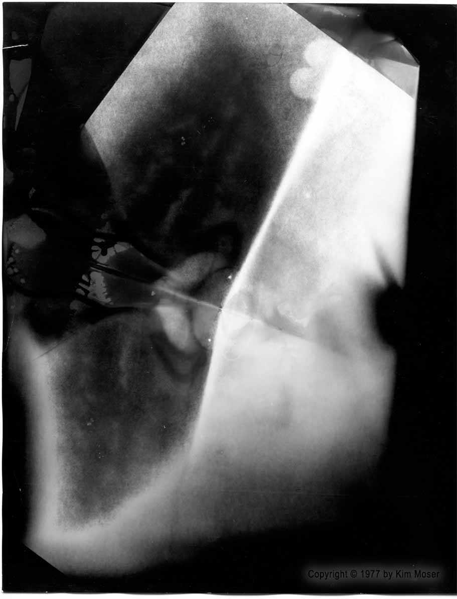 Untitled - Copyright © 1977 by Kim Moser