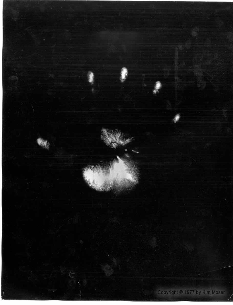 Untitled - Copyright © 1977 by Kim Moser