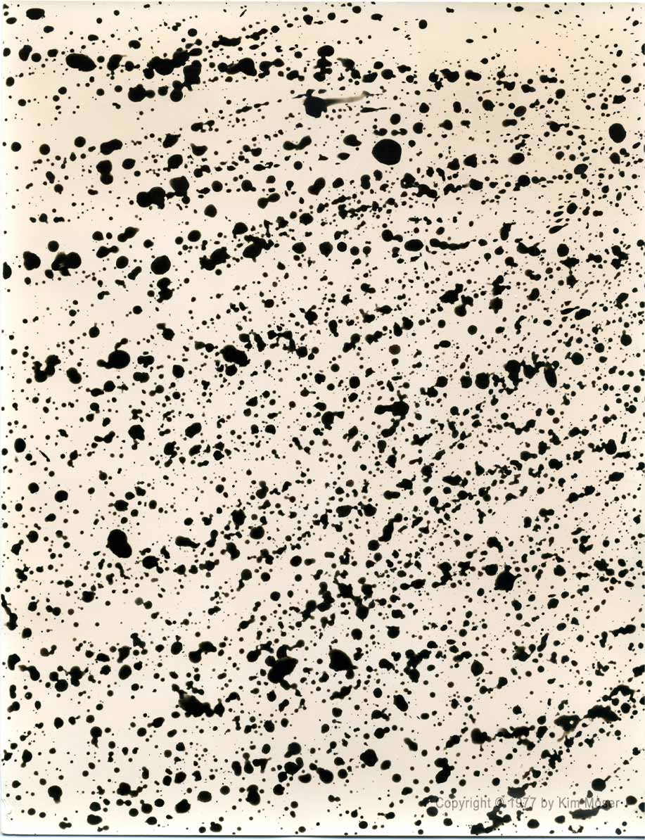 Untitled - Copyright © 1977 by Kim Moser
